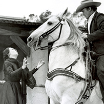 Una Bala es mi testigo