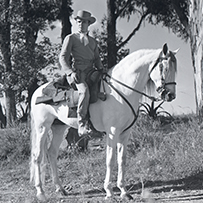 La Flecha Envenenada
