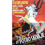 El Potro Salvaje